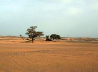 Algeria: New military bases in desert to secure borders and counter terrorism