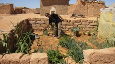 Appels à combattre la désertification dans les pays arabes