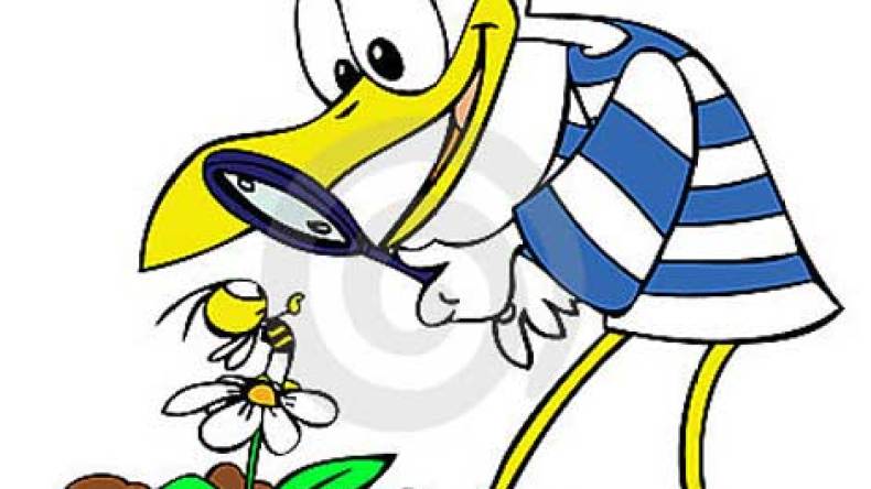 رسوم متحركة تحرِّض على التخـنّث والشتائم العنصرية