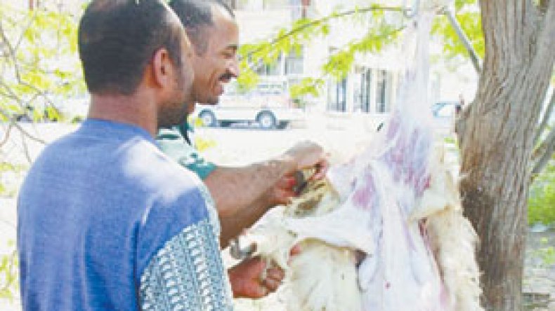 تعرف على الكيس المائي وأمراض أخرى تصيب بعض الماشية