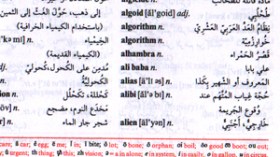 قاموس لبناني يهين الجزائري ويصفه بالحركي وخادم الجيش الفرنسي