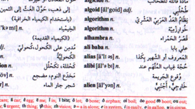 قاموس لبناني يهين الجزائري ويصفه بالحركي وخادم الجيش الفرنسي