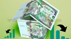 نزيف الإحتياطات سيتواصل بـ 10 مليار دولار على الأقل خلال 2017
