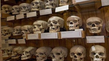 France Is Preparing To Hand Over 41 Skulls To Algeria