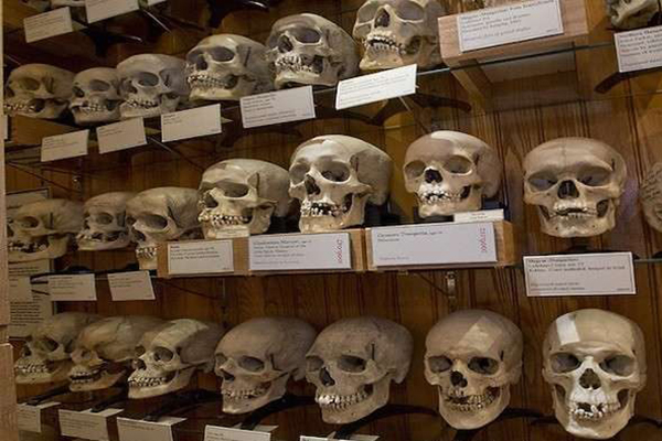 France Is Preparing To Hand Over 41 Skulls To Algeria