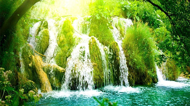 هل في الجنّة كتب ومكتبات؟!