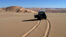 21 مؤسسة أجنبية ووطنية تشارك في المناقصة الدولية