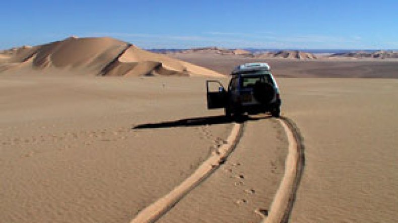 21 مؤسسة أجنبية ووطنية تشارك في المناقصة الدولية