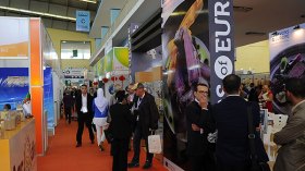 مؤسسات جزائرية ترفع التحدي وتغزو الأسواق الأوروبية