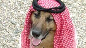 صورة كلب بشماغ تفسد محاضرة لبروفيسور أمريكي بالسعودية وتدفعه لمغادرة المملكة