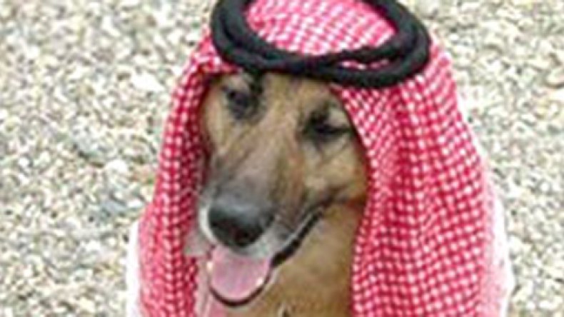 صورة كلب بشماغ تفسد محاضرة لبروفيسور أمريكي بالسعودية وتدفعه لمغادرة المملكة