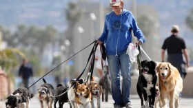 جزائريون يتقاسمون الفراش والطعام مع الكلاب