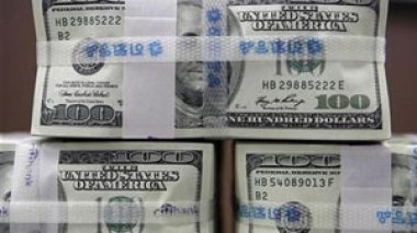 Dollar status unlikely to be in G8 communique: G8 source
