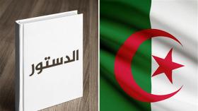 المراجعة الدستورية.. رؤيةٌ نقديةٌ عامّة