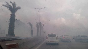 حريق مهول يلتهم حظيرة “دنيا بارك” بالعاصمة!