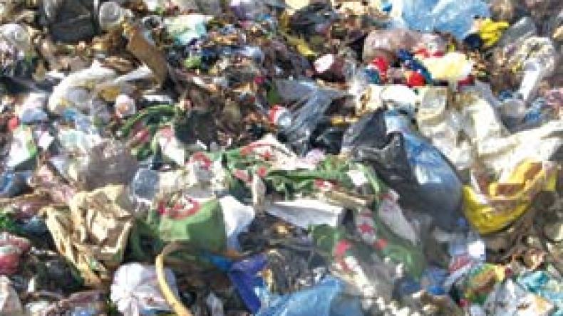 أعلام وطنية في المزابل وحيوانات تعبث بمقابر الشهداء