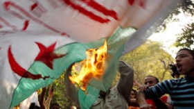 11 شاهدا يبرّر حتمية اعتذار شاتمي الشهداء والمسيئين للجزائر