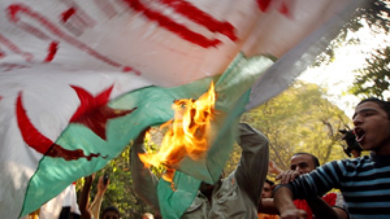 11 شاهدا يبرّر حتمية اعتذار شاتمي الشهداء والمسيئين للجزائر