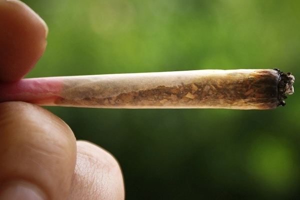 Partenariat algéro-euro-méditerranéen sur la drogue en milieu scolaire