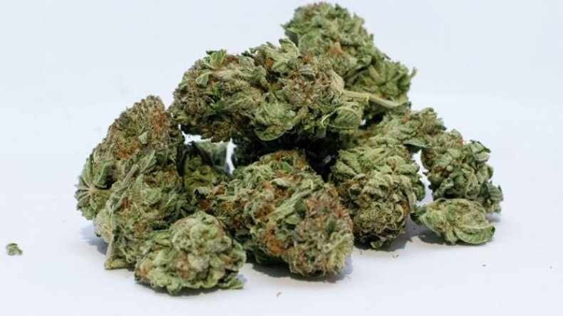 حجز 1.5 كلغ من “القنب الهندي”