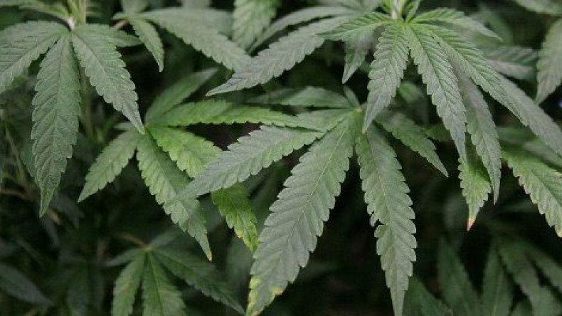 عفو عن ثلاثة بريطانيين معتقلين في الإمارات بتهمة حيازة المخدرات