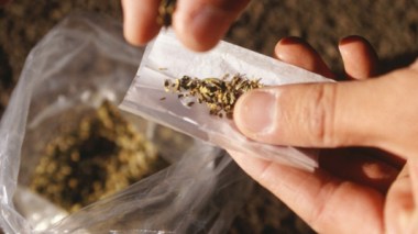 Un million de consommateurs de drogue en Algérie
