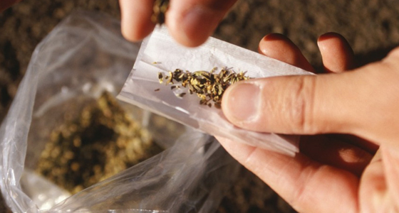 Un million de consommateurs de drogue en Algérie