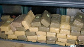 الأمن يطارد 14 عنصرا من المافيا الدولية للمخدرات ببشار