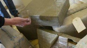 مهربو المخدرات تكبدوا خسارة بـ430 مليار خلال 5 أشهر