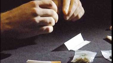 20 milles dealers pour commercialiser 300 tonnes de drogue