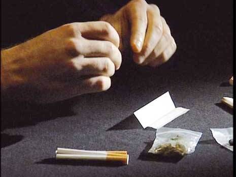 20 milles dealers pour commercialiser 300 tonnes de drogue