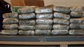 الإطاحة بعصابة لتهريب المخدرات من المغرب الى الجزائر