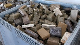 ضبط نصف قنطار من الكيف على ظهور الحمير بتلمسان