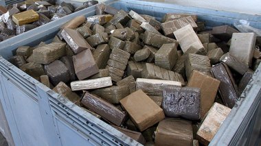 La LADDH accuse le Maroc d’inonder l’Algérie de drogues !