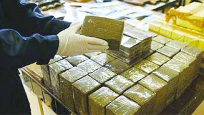 حجز أزيد من قنطار “زطلة” بمغنية