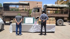 توقيف 6 تجار مخدرات بتمنراست والوادي