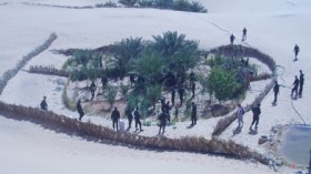 مستثمرون حولوا أموال الدعم الفلاحي إلى زراعة المخدرات