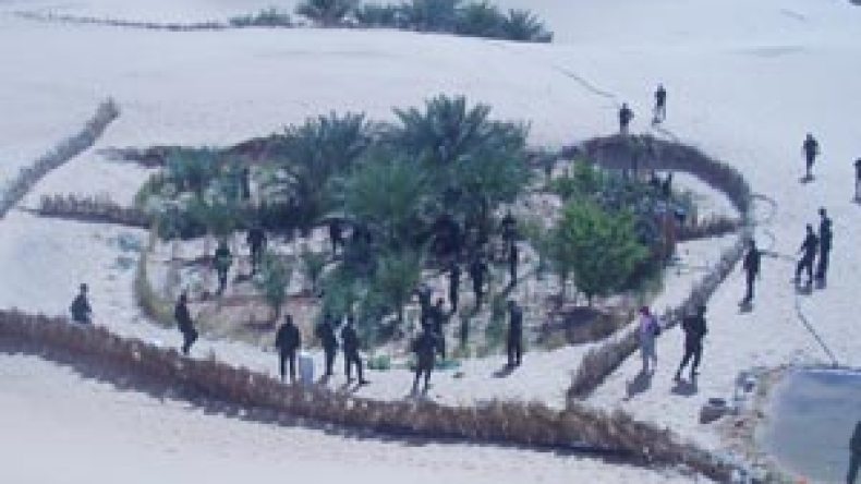 الدرك يكتشف 10 حقول تمتد على 15 هكتارا عبارة عن مزارع أفيون بأدرار