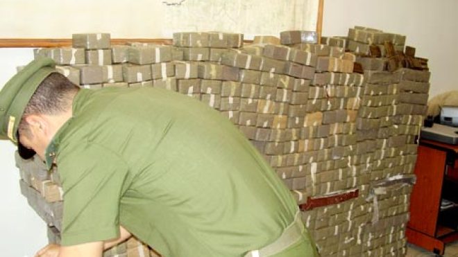 الدرك يحجز 40 قنطار “زطلة” بتلمسان قادمة من المغرب