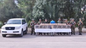 حجز 13 قنطار مخدرات ببشار وعين تيموشنت