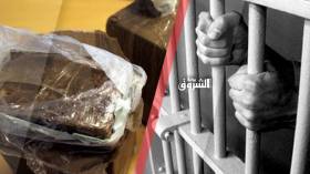 رخص سياقة مزوّرة و20 مليونا عمولة لتهريب 24 قنطار من المخدرات!