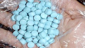 حرب الزطلة والريفوتريل!