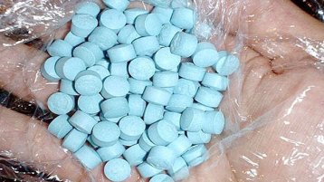 حرب الزطلة والريفوتريل!