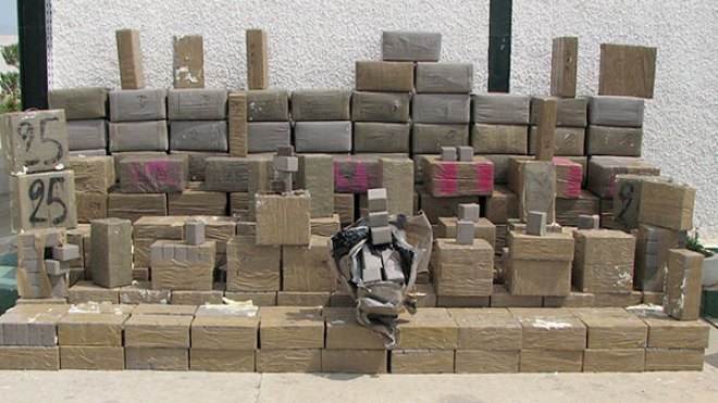 هكذا يضبط المخزن زراعة المخدرات بـ”ظهير شريف” منذ 1919