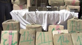 حجز 15 قنطار “زطلة” وتوقيف 5 بارونات