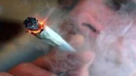 شاب جزائري يطلق أكبر مشروع لمكافحة المخدرات