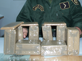 International drug smuggling gang busted in the province of El Oued