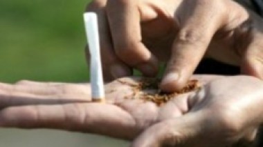 300000 Drug Addicts In Algeria, Survey