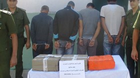 توقيف 4 مهربين وحجز 24 كلغ من الكيف المعالج بوهران