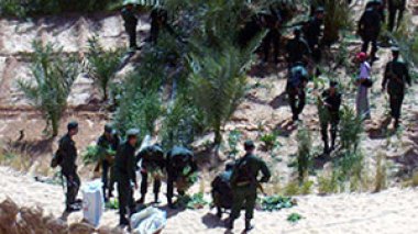 Algeria : 5.641 drug smugglers including 52 foreigners arrested